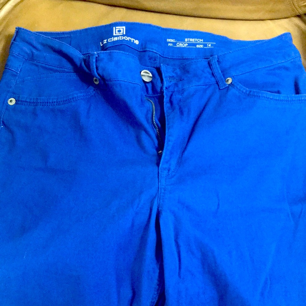 Blue Liz Stretch Capri Pants